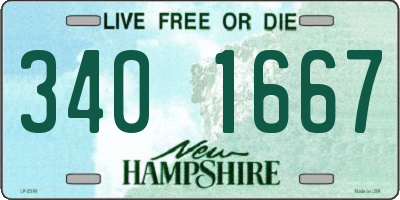 NH license plate 3401667