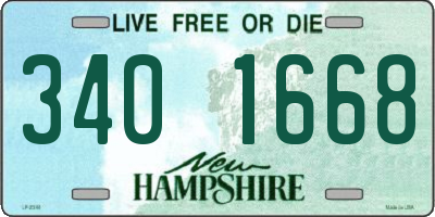 NH license plate 3401668