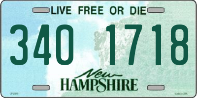 NH license plate 3401718