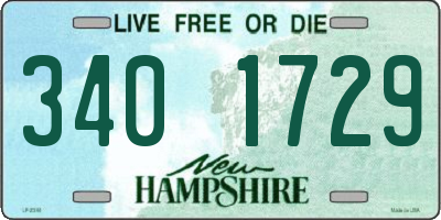 NH license plate 3401729