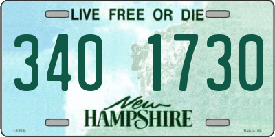 NH license plate 3401730