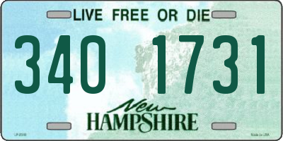 NH license plate 3401731