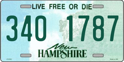 NH license plate 3401787