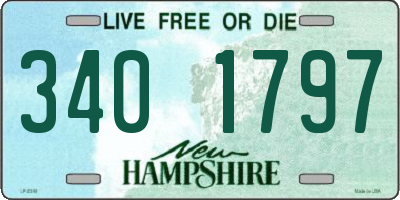 NH license plate 3401797