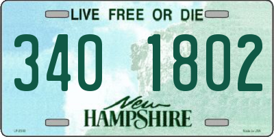 NH license plate 3401802