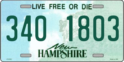 NH license plate 3401803