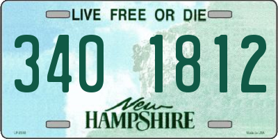NH license plate 3401812