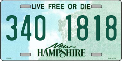 NH license plate 3401818