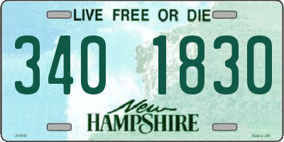 NH license plate 3401830