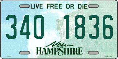 NH license plate 3401836