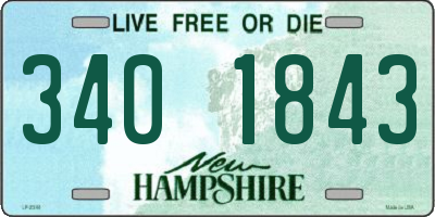 NH license plate 3401843