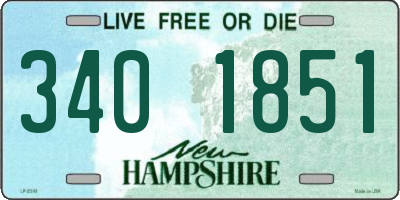 NH license plate 3401851