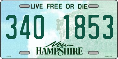 NH license plate 3401853