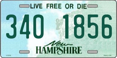 NH license plate 3401856