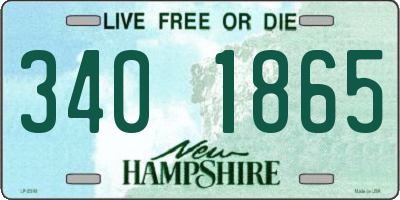 NH license plate 3401865