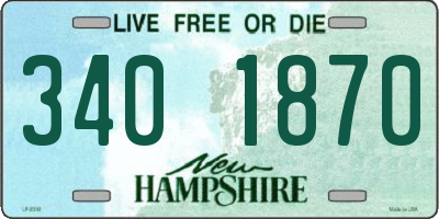 NH license plate 3401870