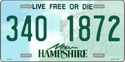 NH license plate 3401872