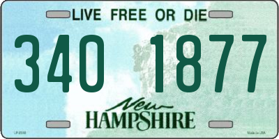 NH license plate 3401877