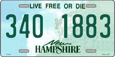 NH license plate 3401883
