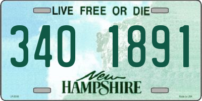 NH license plate 3401891
