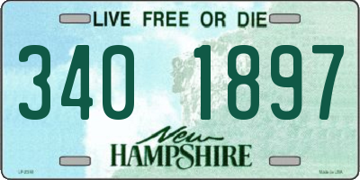 NH license plate 3401897