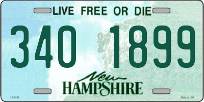 NH license plate 3401899