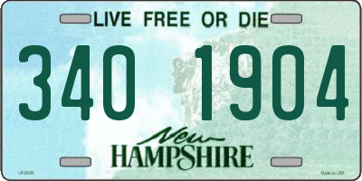 NH license plate 3401904