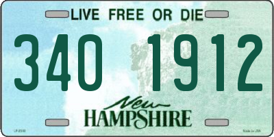 NH license plate 3401912