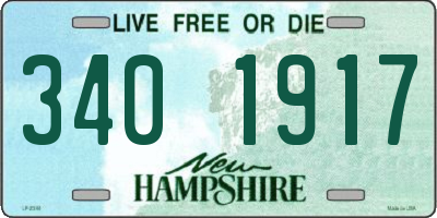 NH license plate 3401917