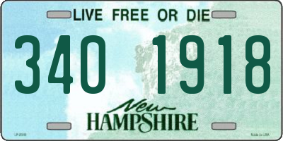 NH license plate 3401918