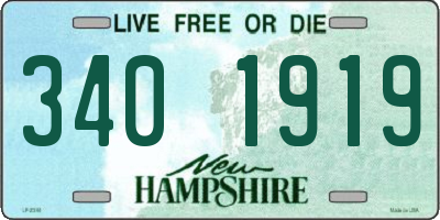 NH license plate 3401919