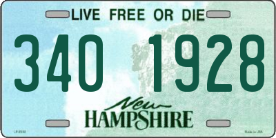 NH license plate 3401928