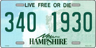 NH license plate 3401930