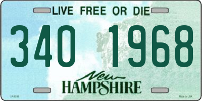 NH license plate 3401968