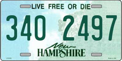 NH license plate 3402497