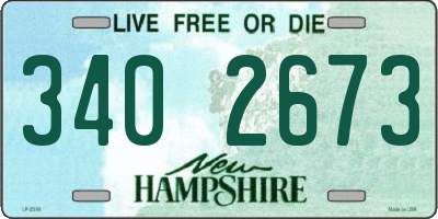 NH license plate 3402673
