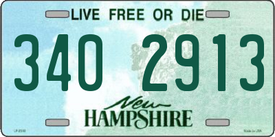 NH license plate 3402913