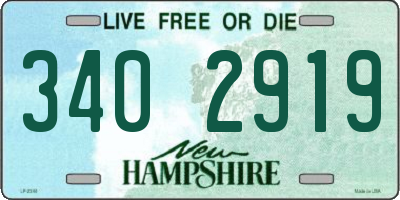 NH license plate 3402919