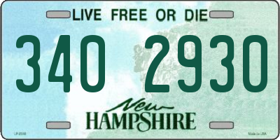 NH license plate 3402930