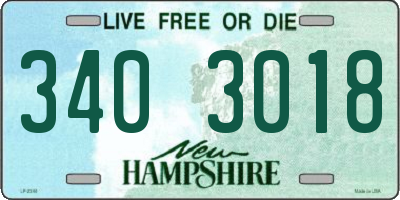 NH license plate 3403018