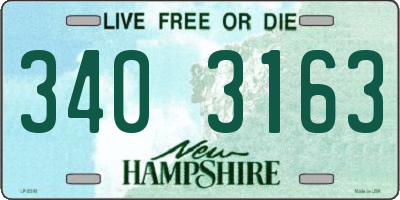 NH license plate 3403163