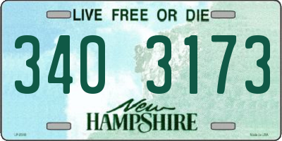 NH license plate 3403173