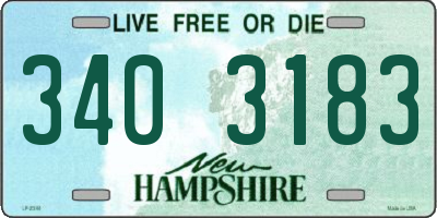NH license plate 3403183