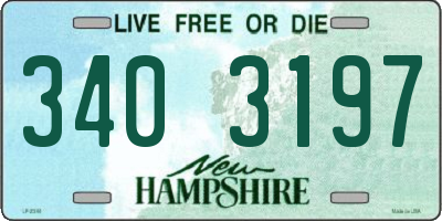 NH license plate 3403197