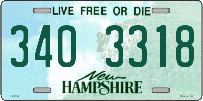 NH license plate 3403318