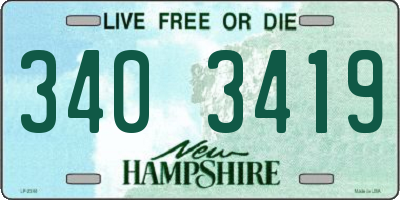 NH license plate 3403419