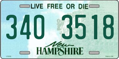 NH license plate 3403518