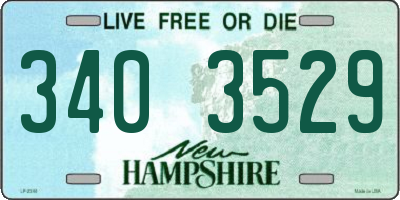 NH license plate 3403529