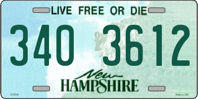 NH license plate 3403612