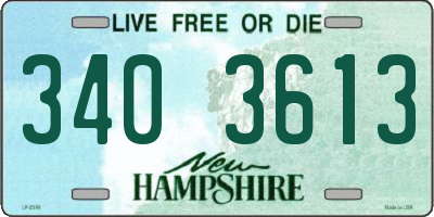 NH license plate 3403613